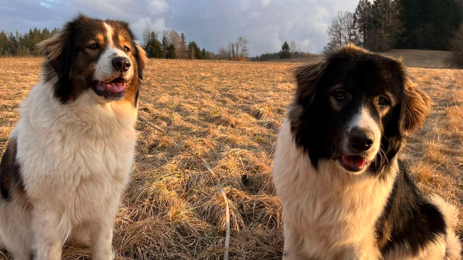 Najslađa galerija tjedna 😍