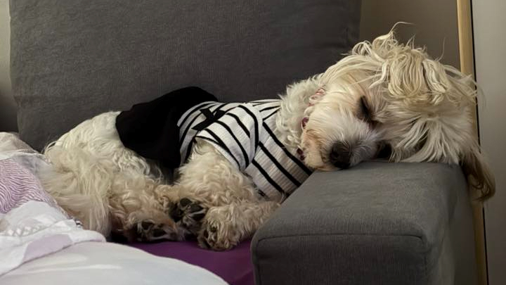 Najslađa galerija tjedna 😍