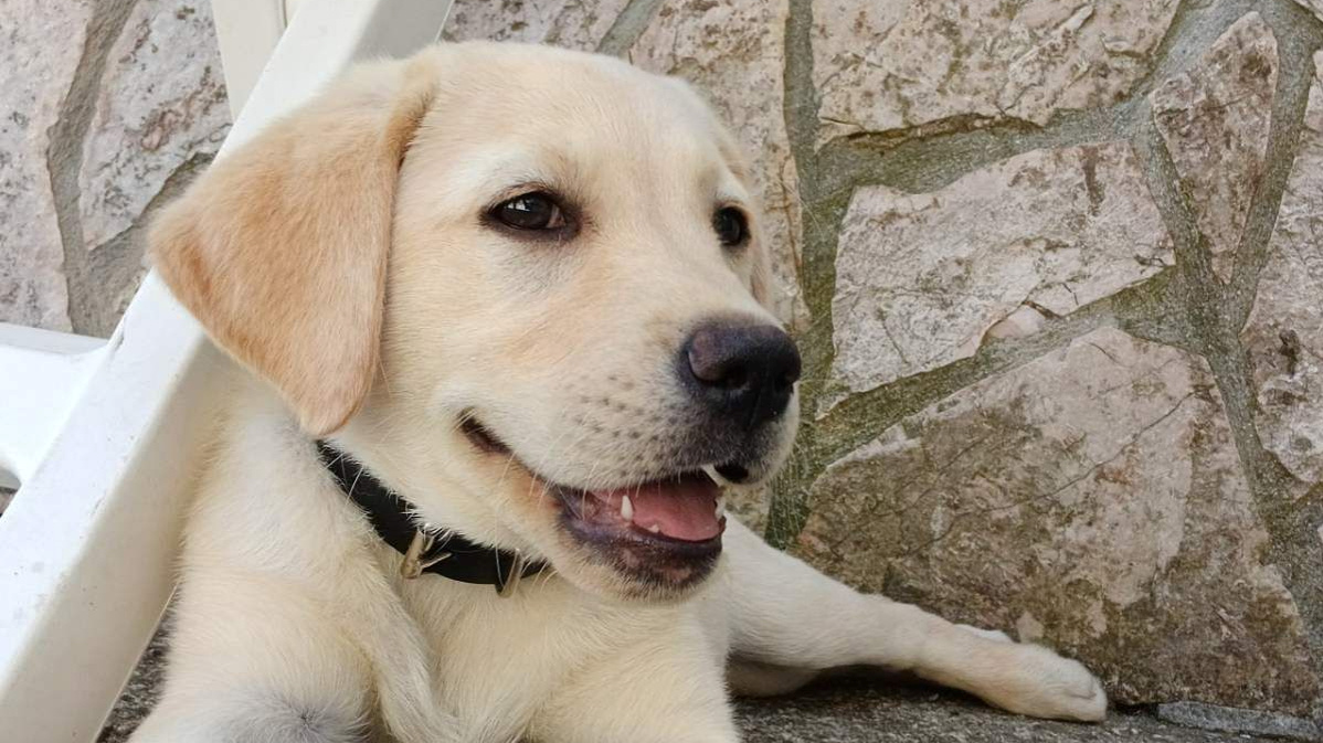 Najslađa galerija tjedna 😍