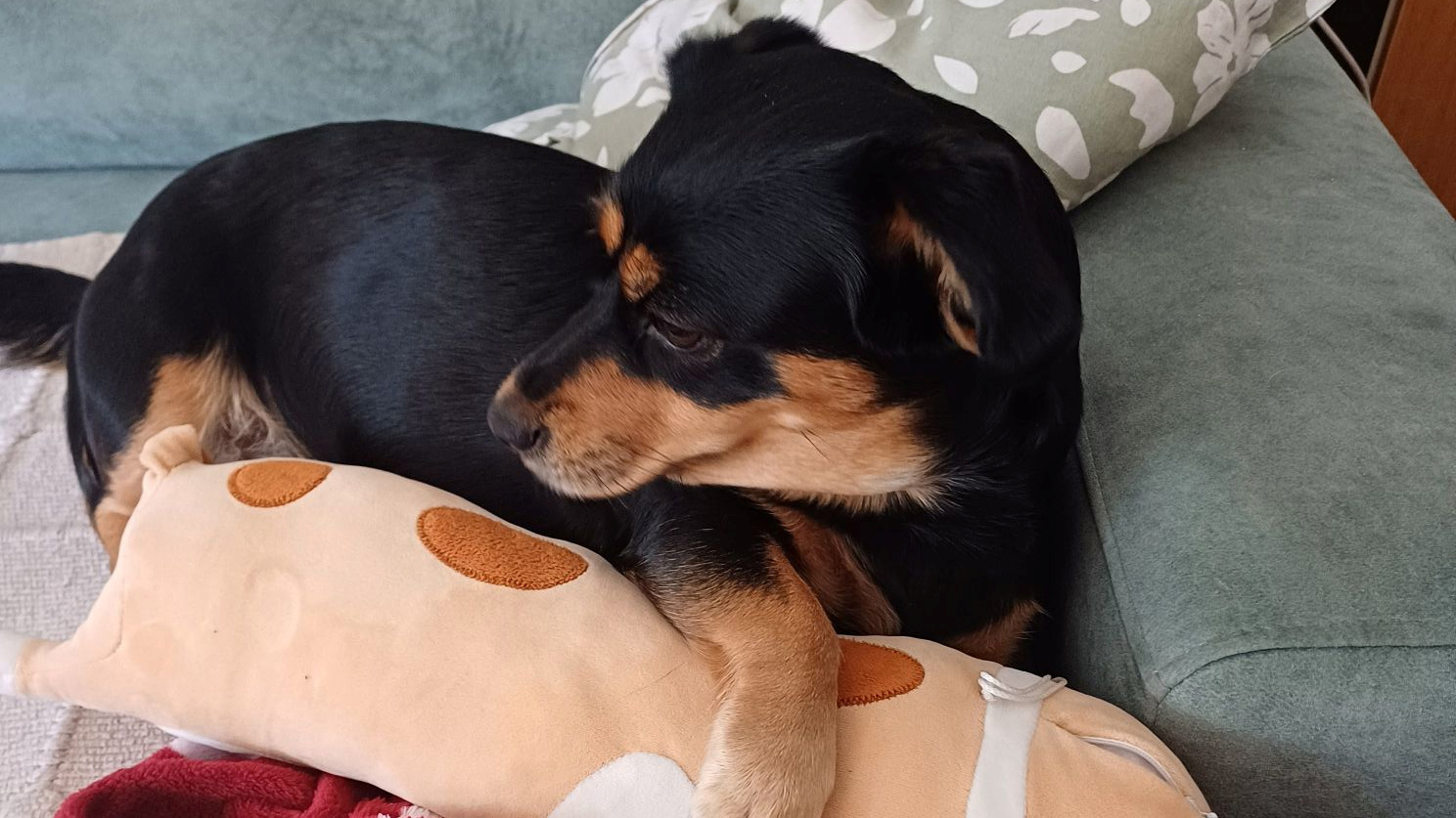 Najslađa galerija tjedna 😍