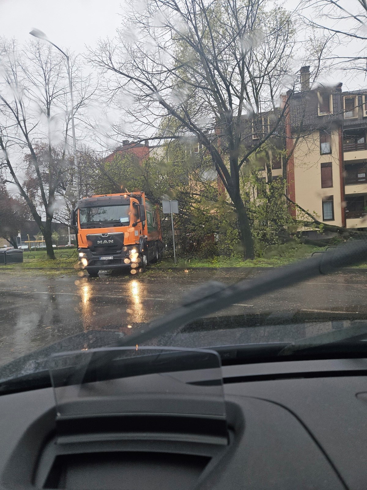 Stablo palo na kamion Čistoće