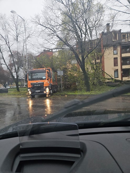 Stablo palo na kamion Čistoće