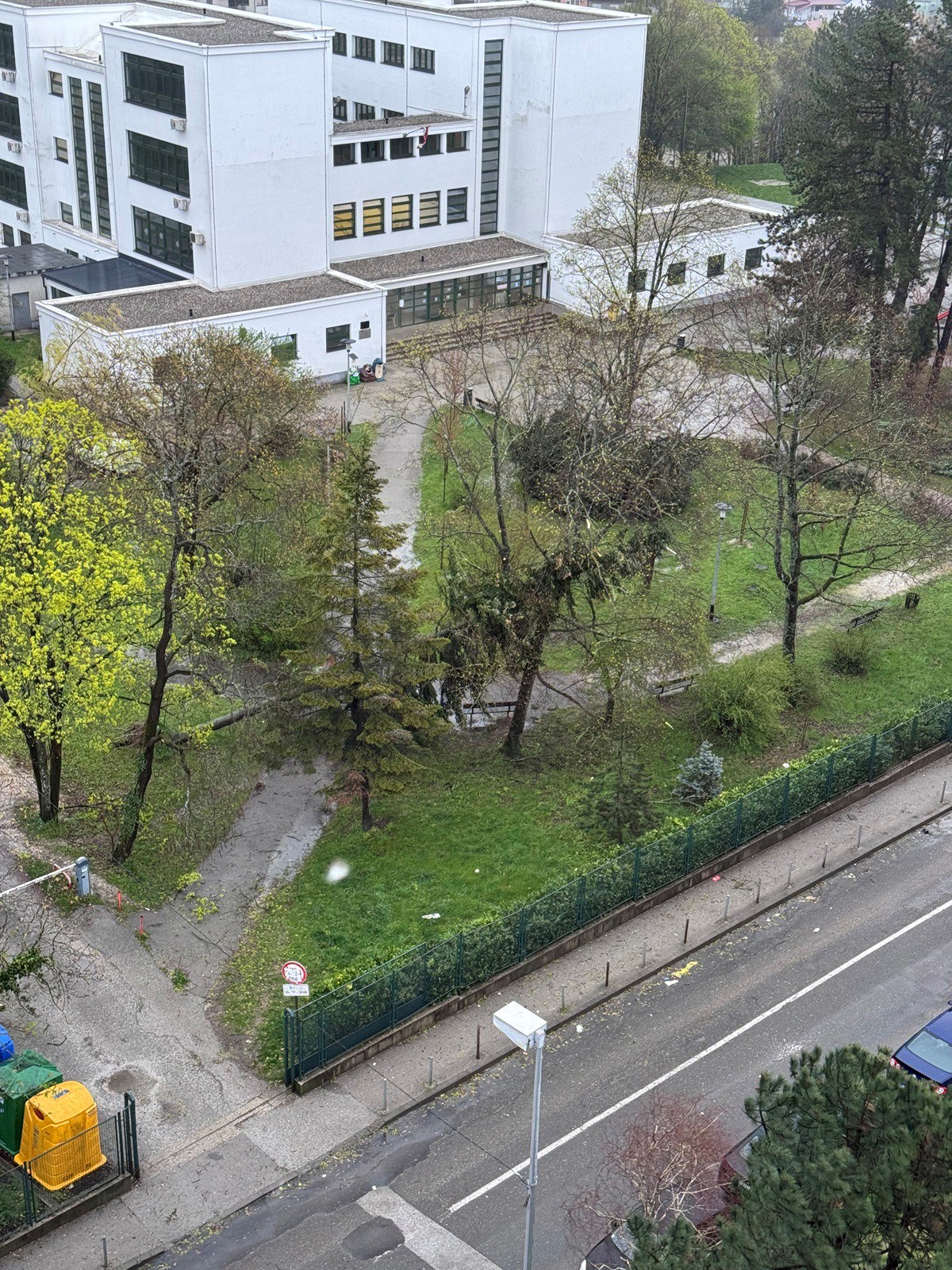 Pala dva stabla u dvorištu OŠ Jordanovac