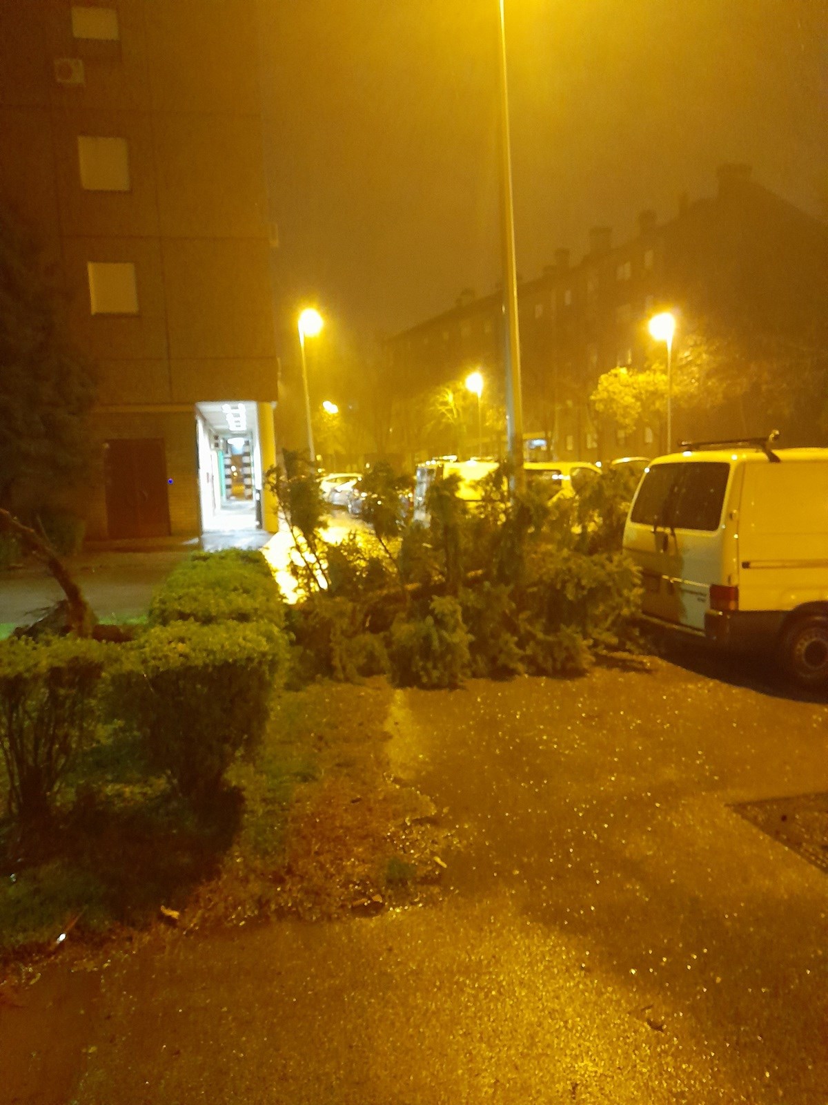 Srušeno stablo u Malešnici