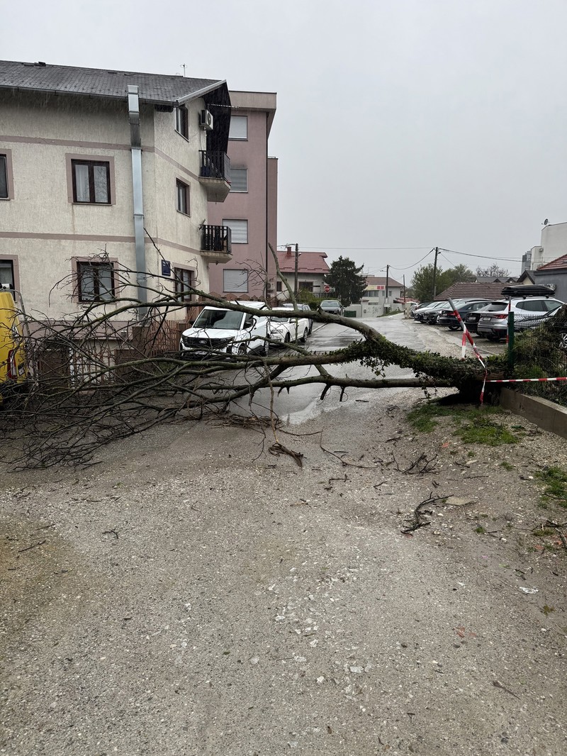 Rozganska ulica