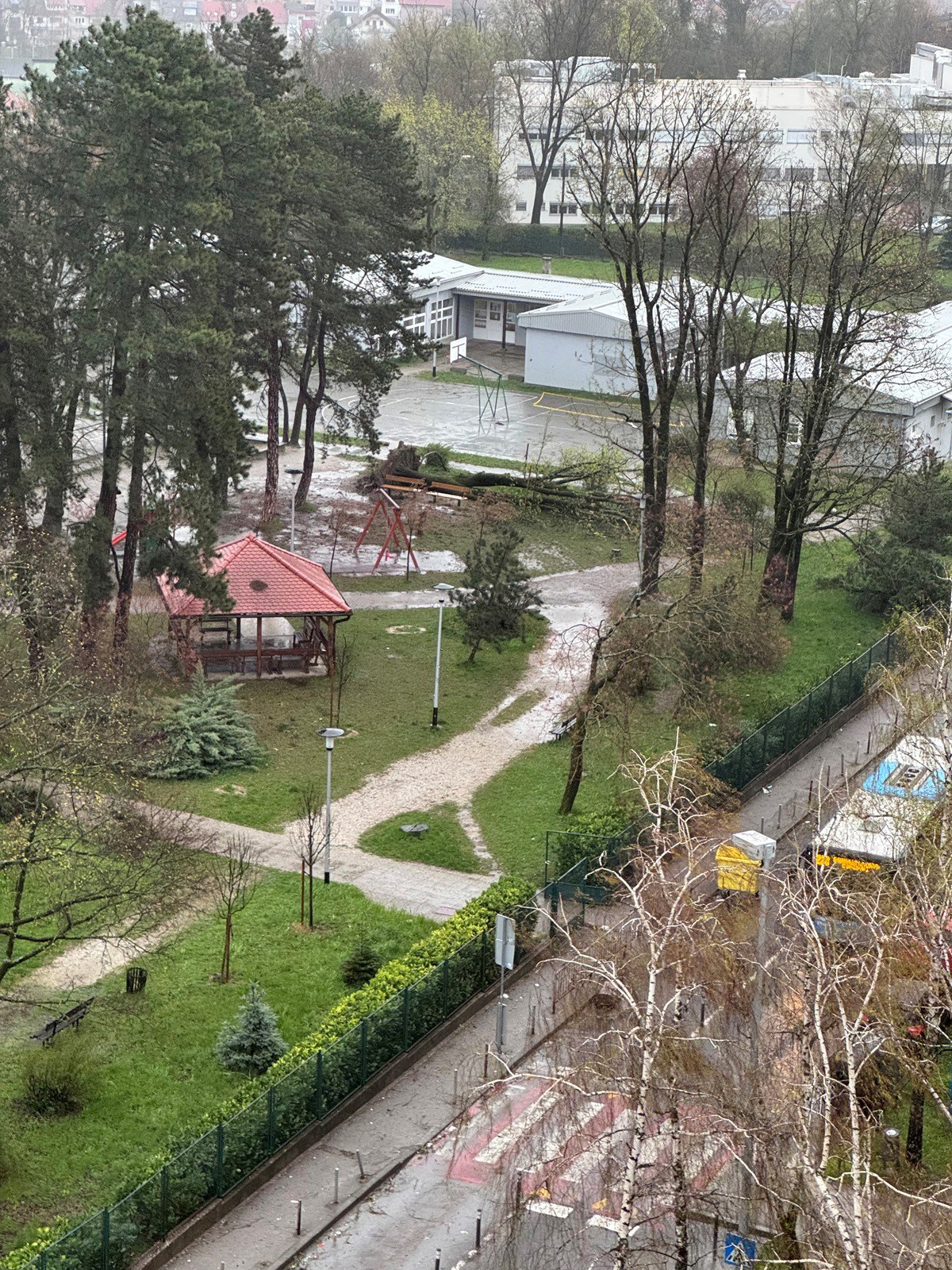 Pala dva stabla u dvorištu OŠ Jordanovac