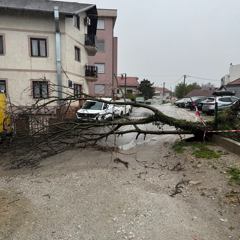 Rozganska ulica