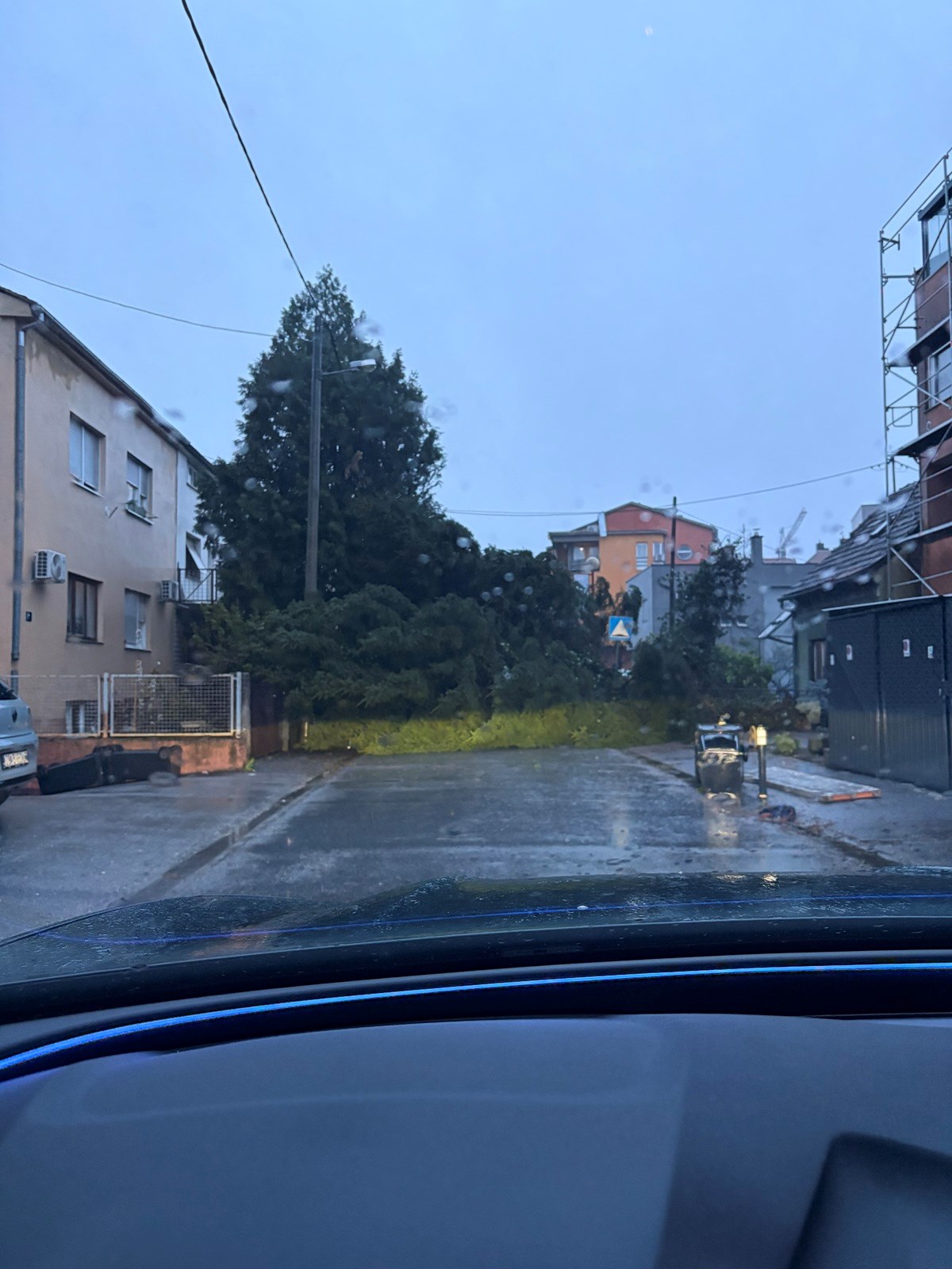 Srušeno stablo u Stubičkoj ulici