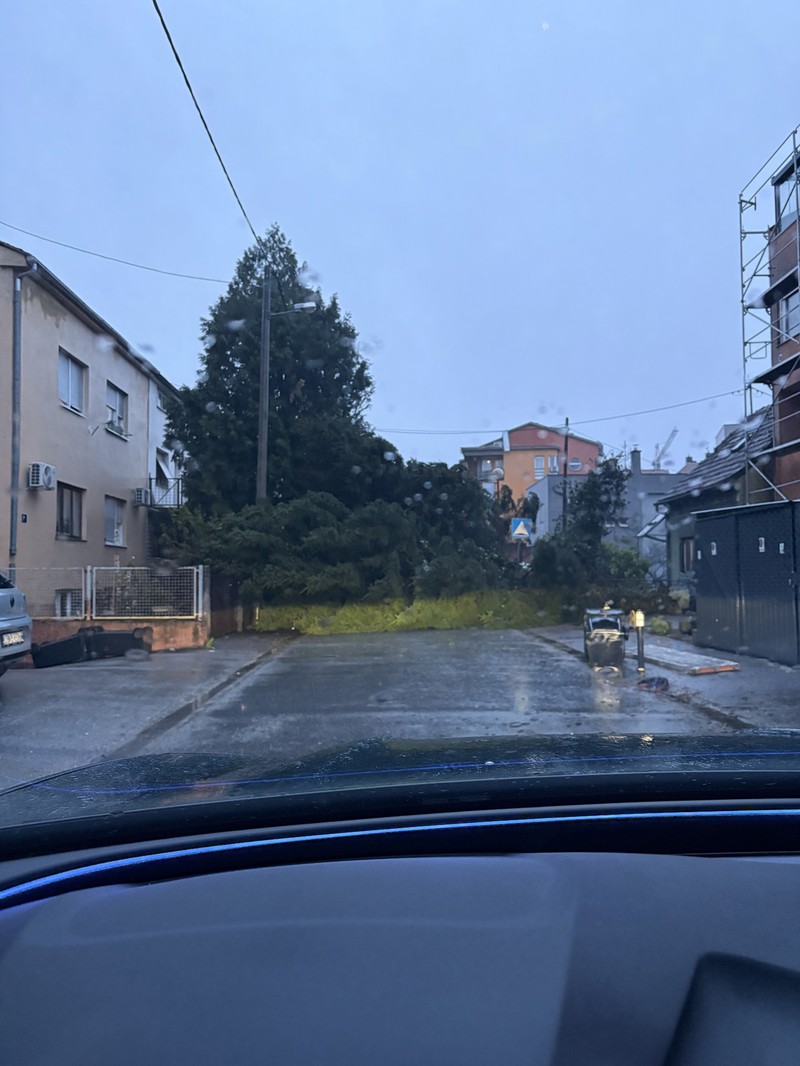 Srušeno stablo u Stubičkoj ulici