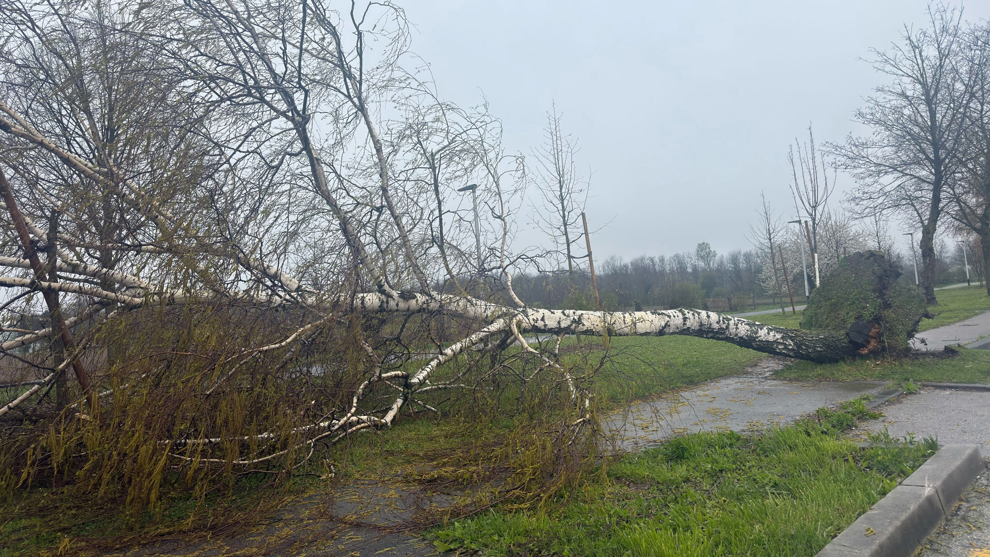 Avenija Gojka Šuška, Zagreb