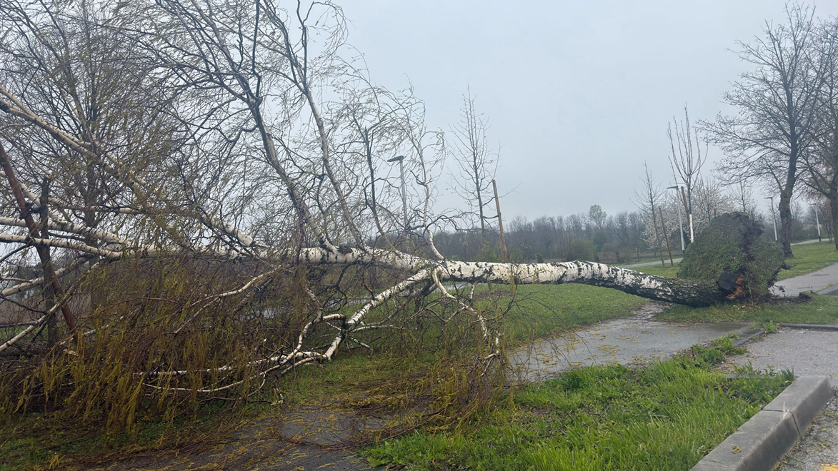 Avenija Gojka Šuška, Zagreb
