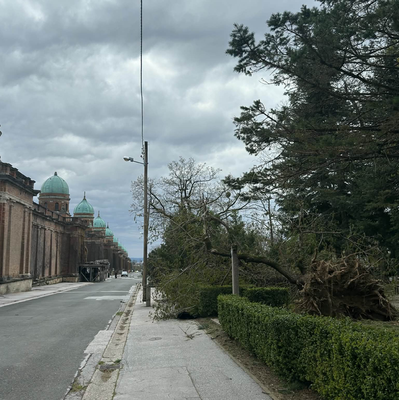 Mirogoj