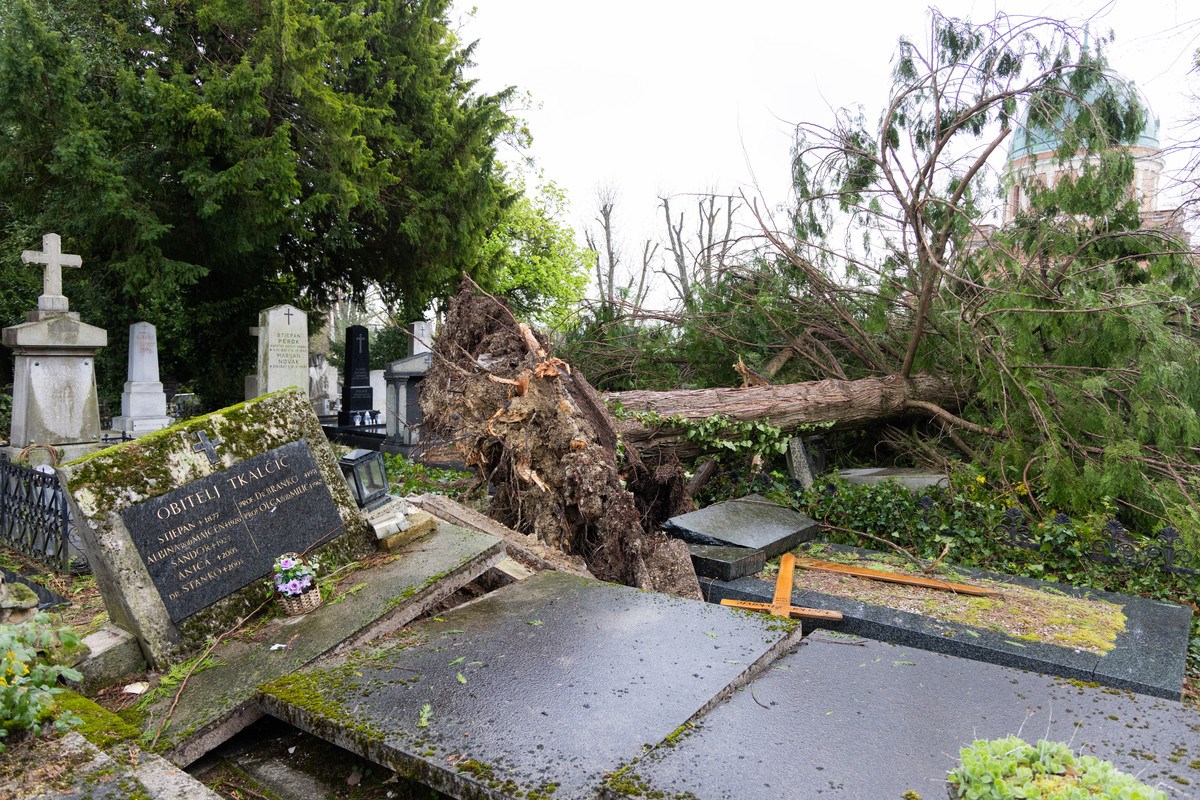 FOTO I VIDEO Ovako izgleda Mirogoj nakon nevremena. Srušeno više od 300 stabala