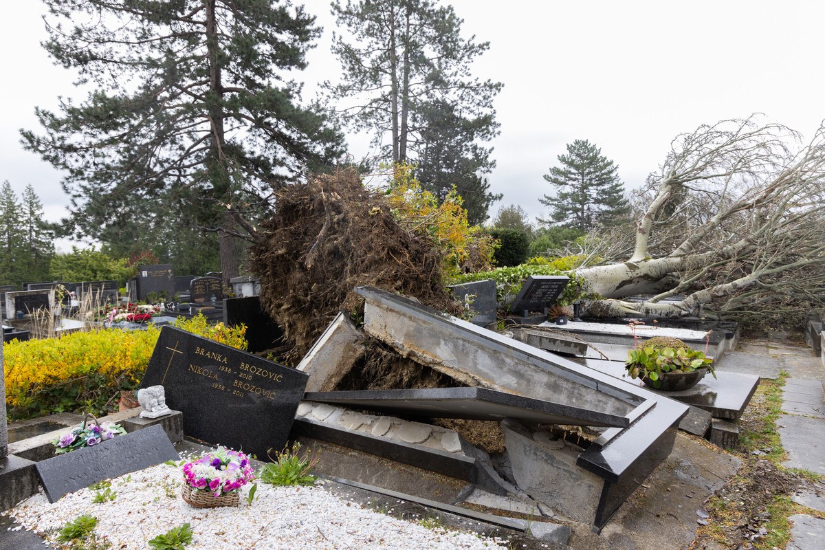 FOTO I VIDEO Ovako izgleda Mirogoj nakon nevremena. Srušeno više od 300 stabala