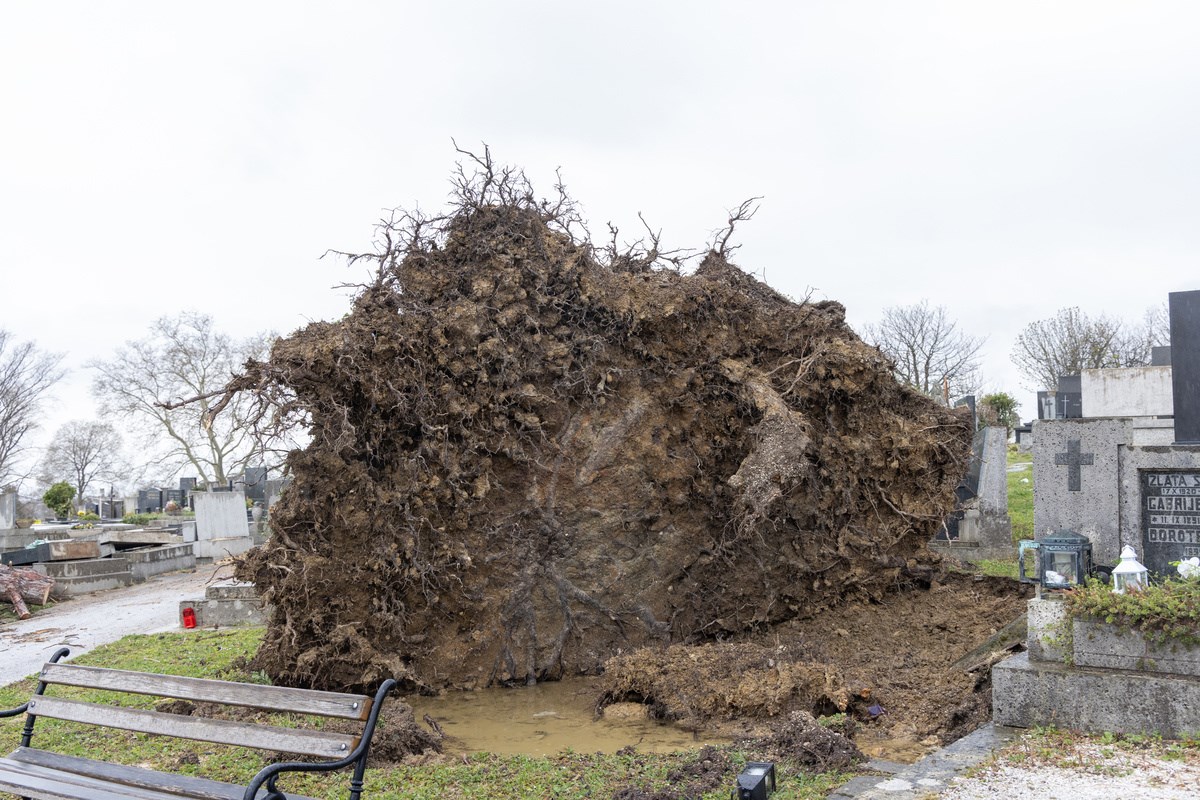 FOTO I VIDEO Ovako izgleda Mirogoj nakon nevremena. Srušeno više od 300 stabala