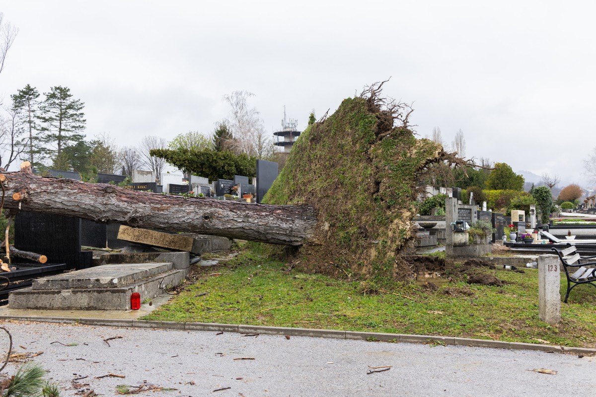 FOTO I VIDEO Ovako izgleda Mirogoj nakon nevremena. Srušeno više od 300 stabala