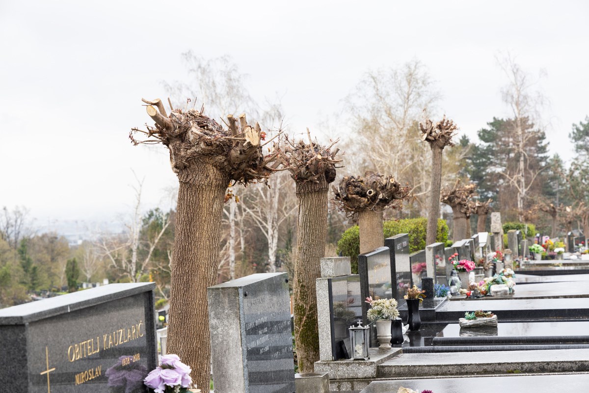 FOTO I VIDEO Ovako izgleda Mirogoj nakon nevremena. Srušeno više od 300 stabala