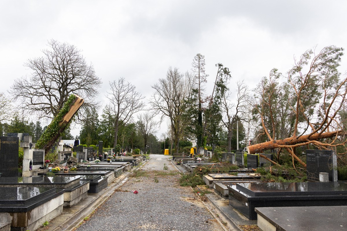 FOTO I VIDEO Ovako izgleda Mirogoj nakon nevremena. Srušeno više od 300 stabala
