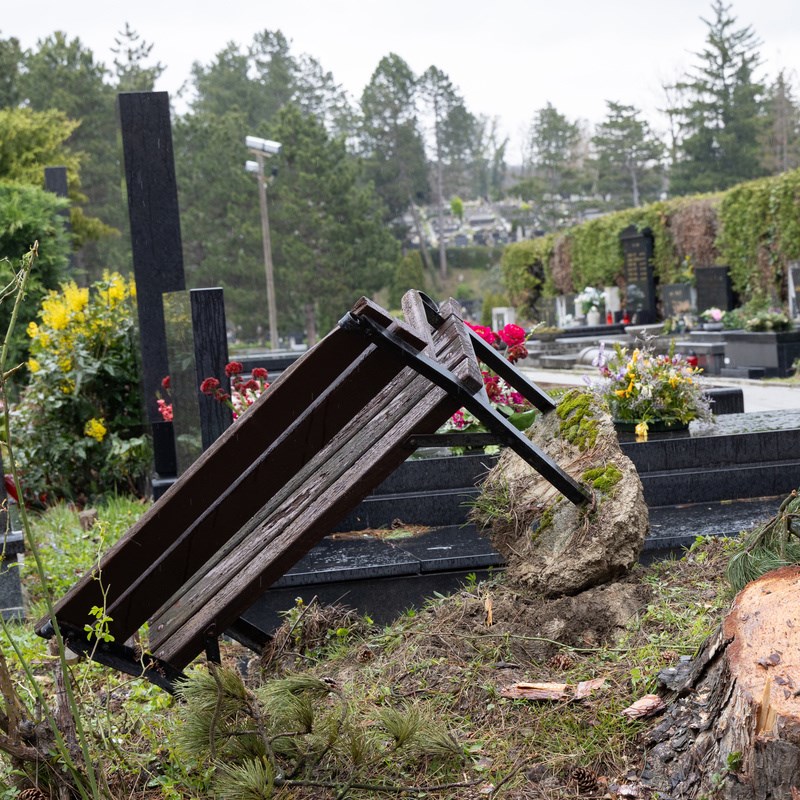 FOTO I VIDEO Ovako izgleda Mirogoj nakon nevremena. Srušeno više od 300 stabala