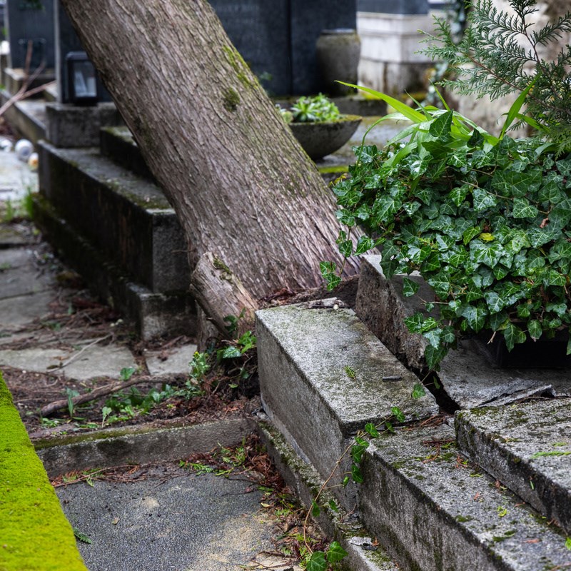 FOTO I VIDEO Ovako izgleda Mirogoj nakon nevremena. Srušeno više od 300 stabala