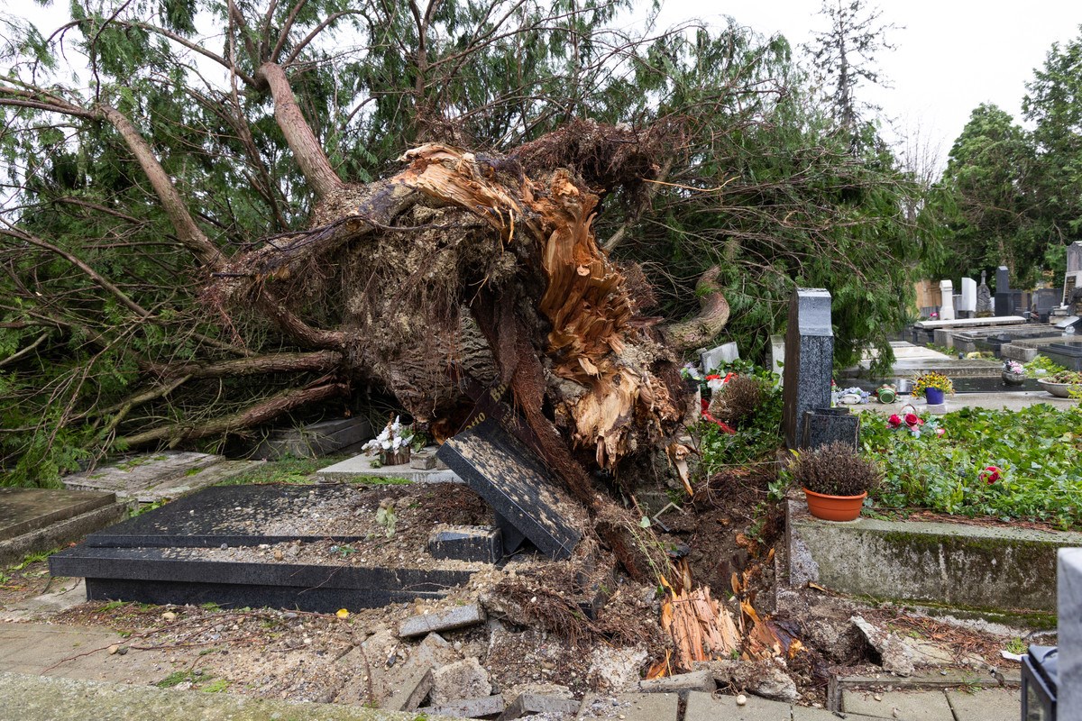 FOTO I VIDEO Ovako izgleda Mirogoj nakon nevremena. Srušeno više od 300 stabala