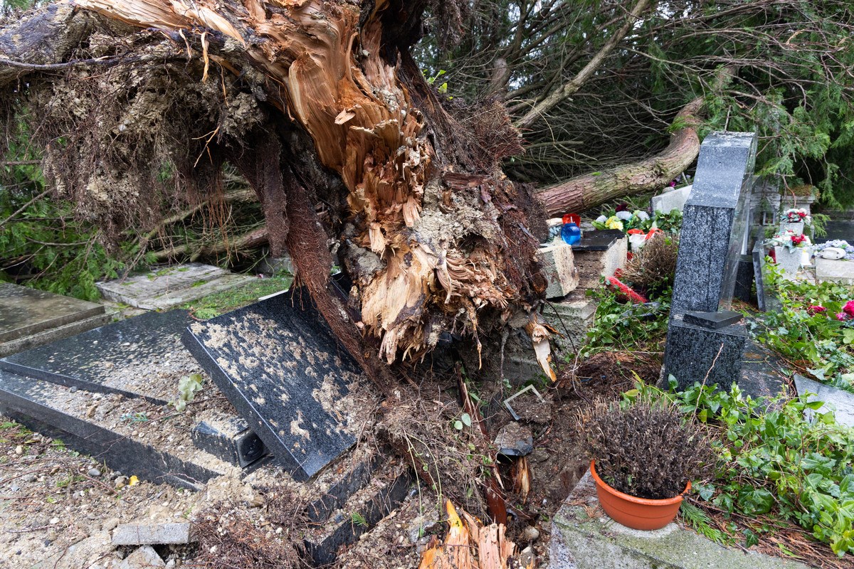 FOTO I VIDEO Ovako izgleda Mirogoj nakon nevremena. Srušeno više od 300 stabala
