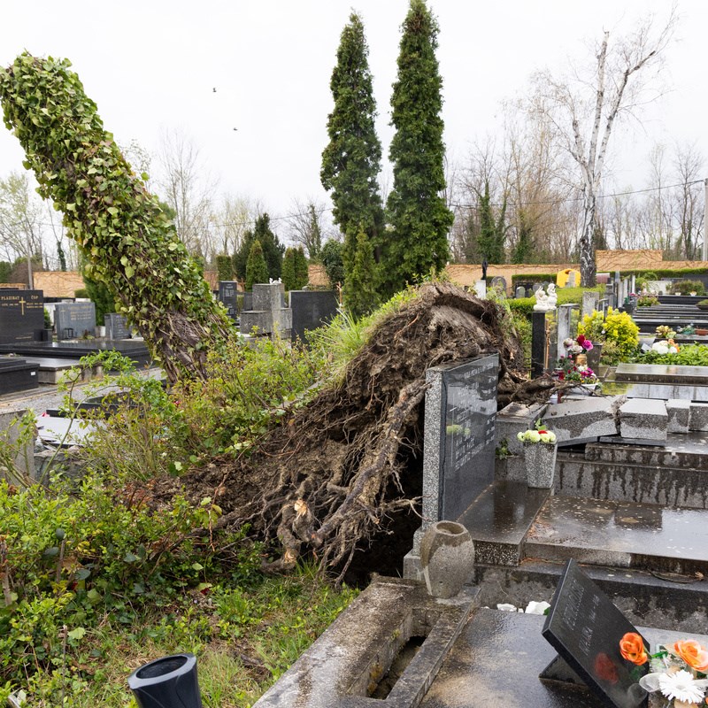 FOTO I VIDEO Ovako izgleda Mirogoj nakon nevremena. Srušeno više od 300 stabala