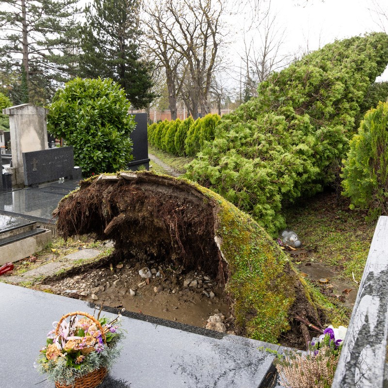 FOTO I VIDEO Ovako izgleda Mirogoj nakon nevremena. Srušeno više od 300 stabala