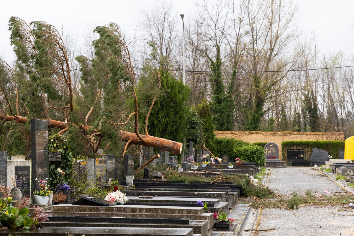 FOTO I VIDEO Ovako izgleda Mirogoj nakon nevremena. Srušeno više od 300 stabala