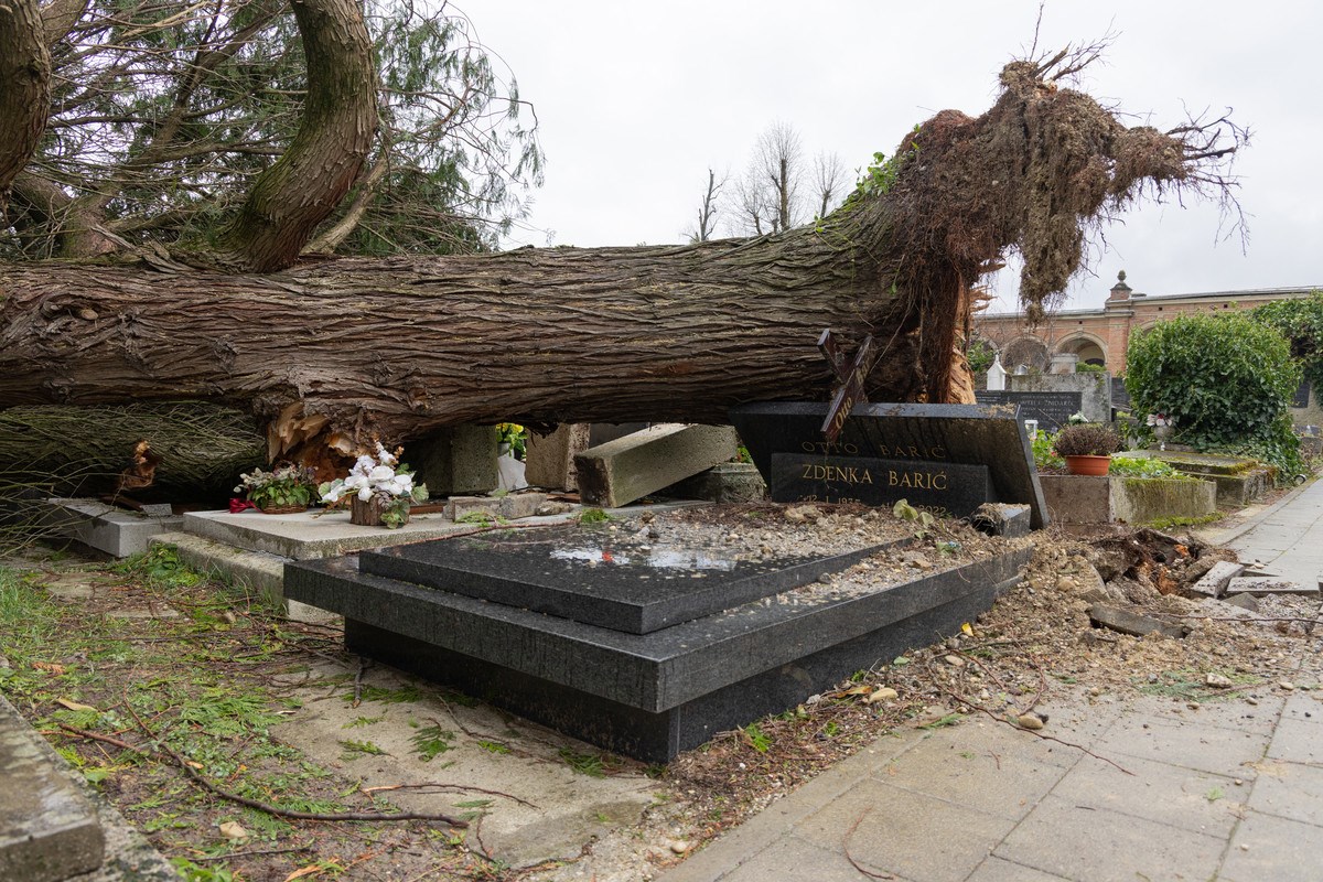 FOTO I VIDEO Ovako izgleda Mirogoj nakon nevremena. Srušeno više od 300 stabala