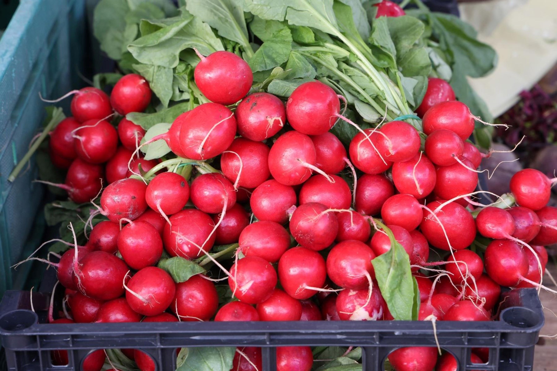 FOTO Pogledajte ponudu na šibenskoj tržnici uoči najvećeg kršćanskog blagdana Uskrsa