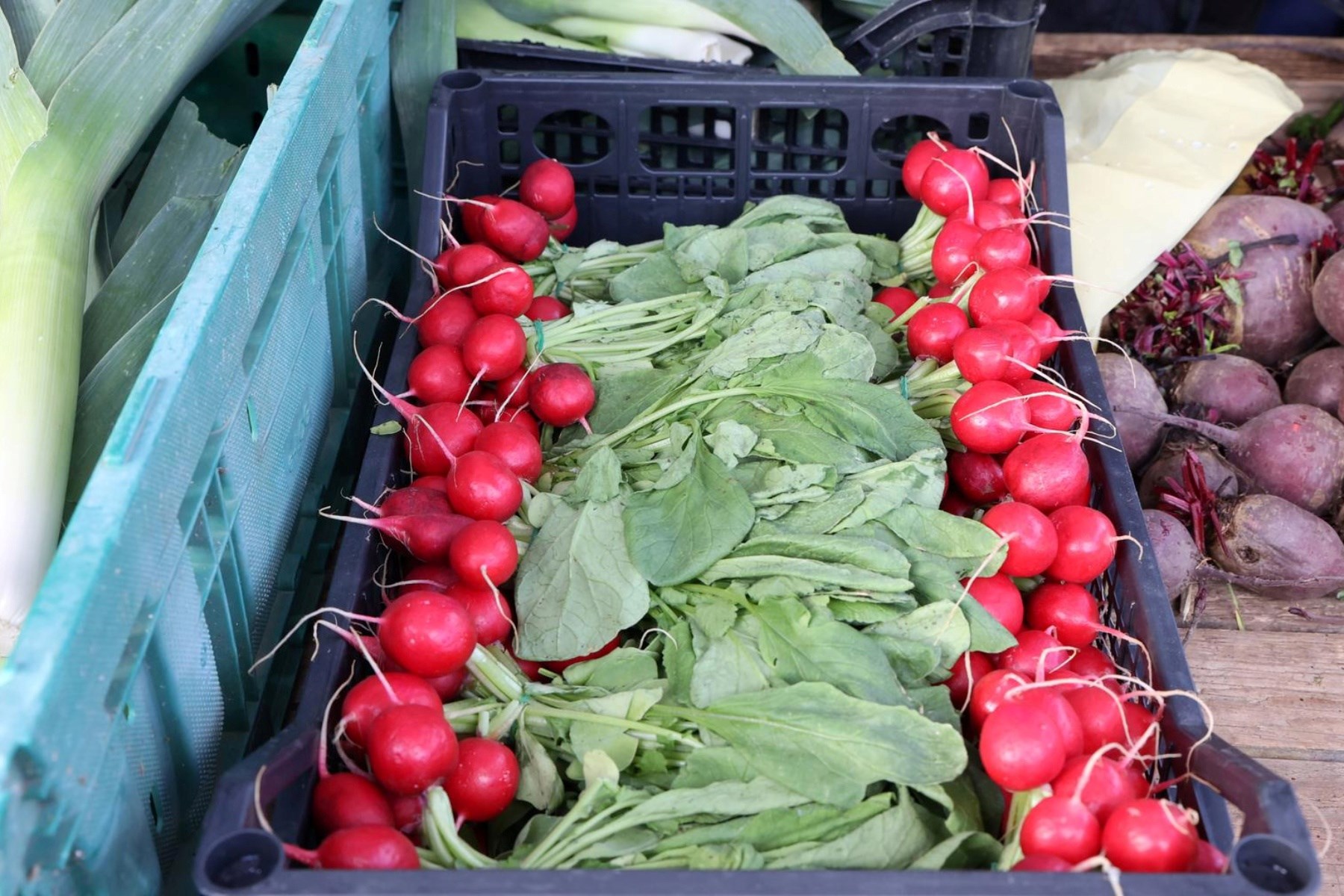 FOTO Pogledajte ponudu na šibenskoj tržnici uoči najvećeg kršćanskog blagdana Uskrsa