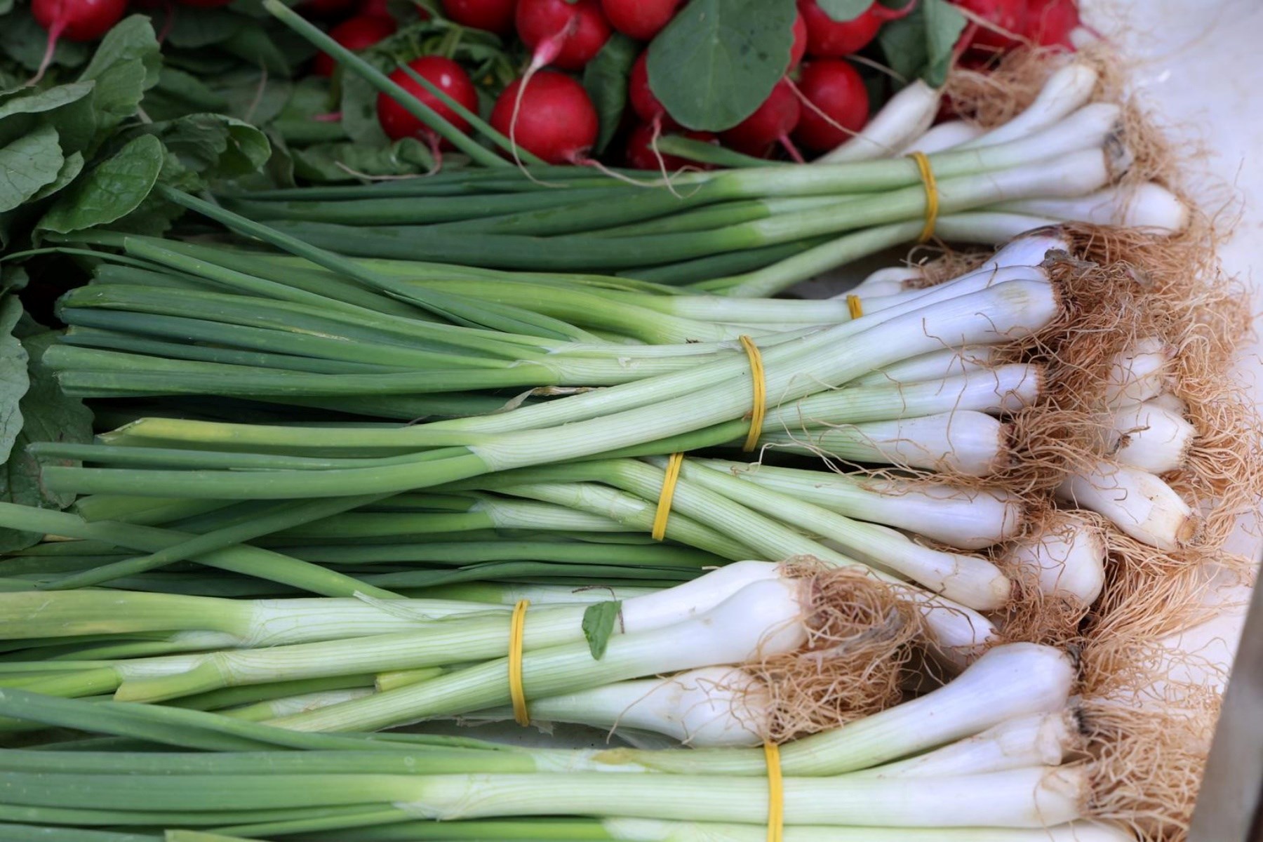 FOTO Pogledajte ponudu na šibenskoj tržnici uoči najvećeg kršćanskog blagdana Uskrsa