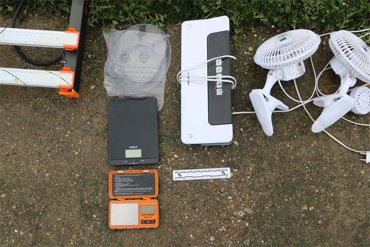 FOTO Mladić u Orahovici uzgajao marihuanu, policija pronašla 21 biljku