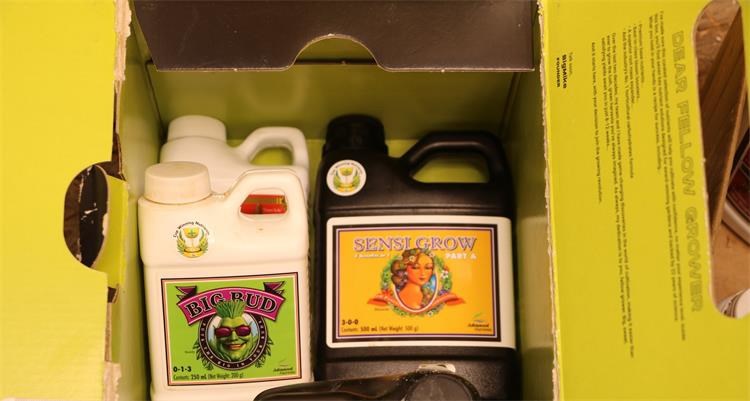 FOTO Mladić u Orahovici uzgajao marihuanu, policija pronašla 21 biljku