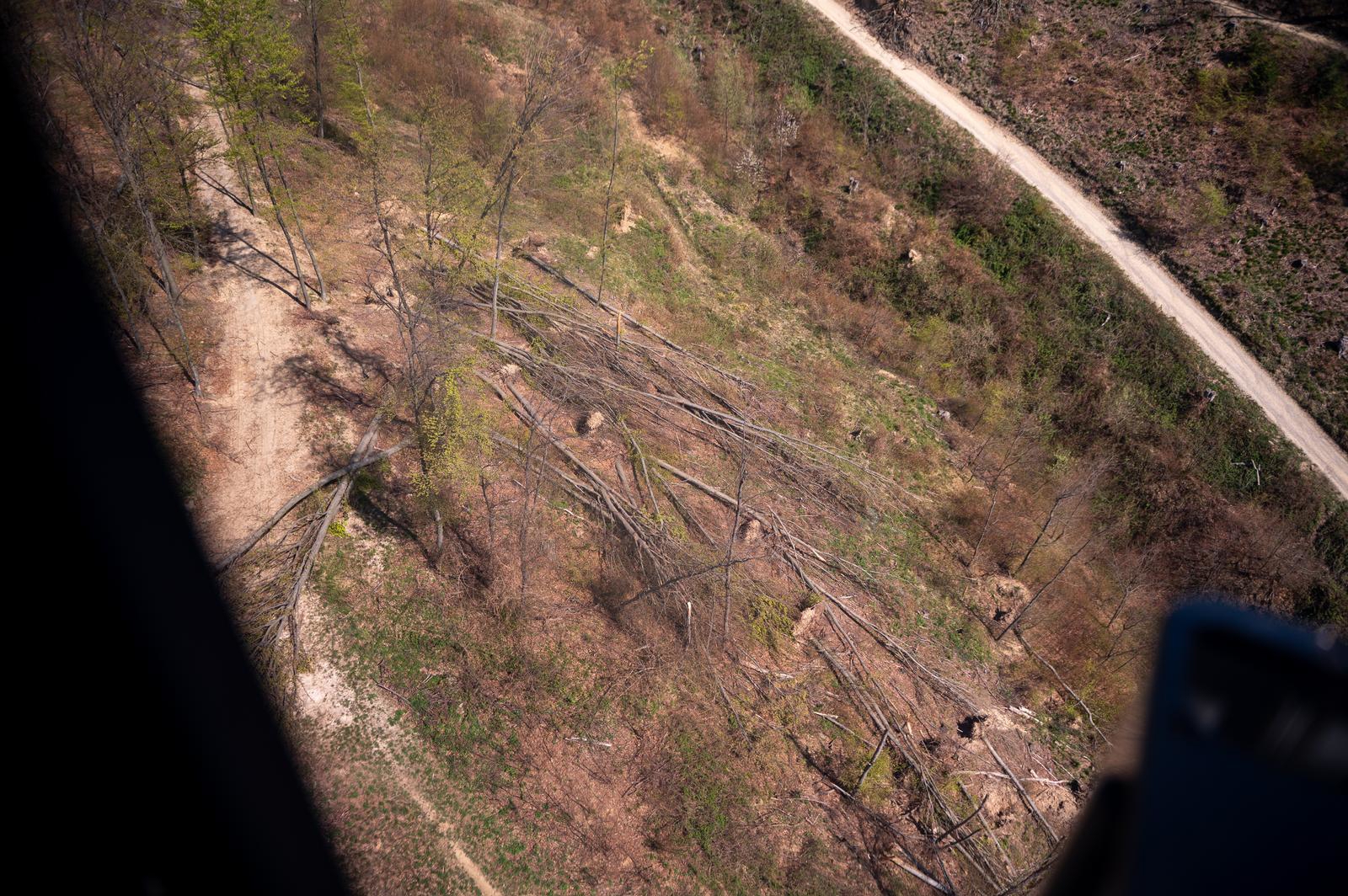 FOTO Sljeme dva tjedna nakon oluje: Šuma razorena, sanacija u tijeku