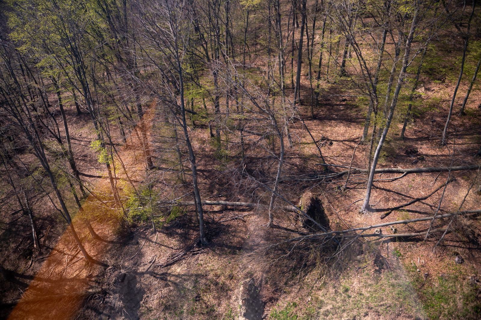 FOTO Sljeme dva tjedna nakon oluje: Šuma razorena, sanacija u tijeku