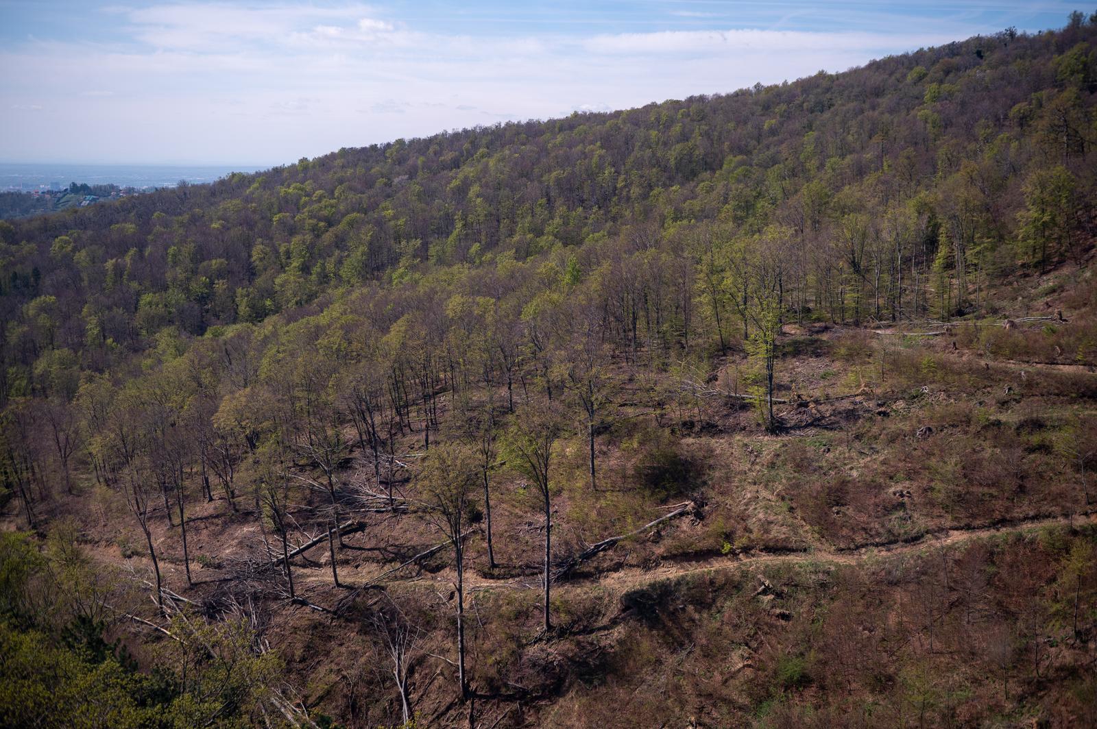 FOTO Sljeme dva tjedna nakon oluje: Šuma razorena, sanacija u tijeku