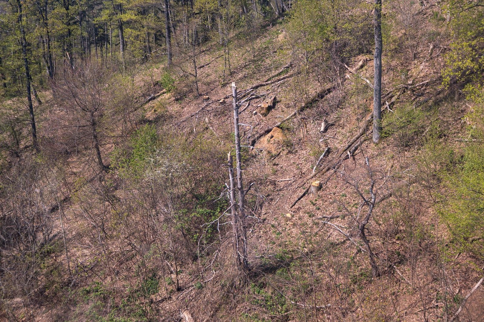FOTO Sljeme dva tjedna nakon oluje: Šuma razorena, sanacija u tijeku