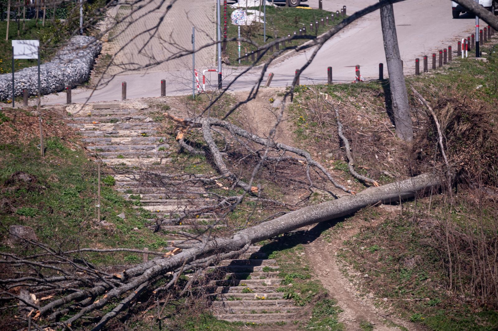 FOTO Sljeme dva tjedna nakon oluje: Šuma razorena, sanacija u tijeku