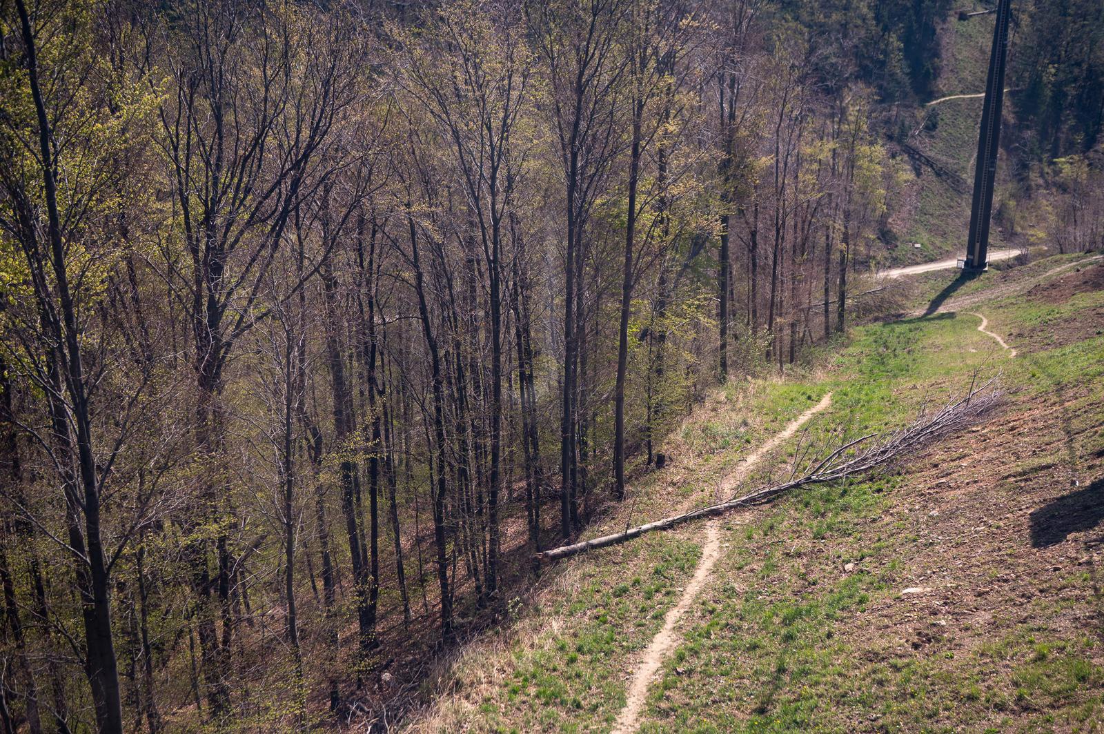 FOTO Sljeme dva tjedna nakon oluje: Šuma razorena, sanacija u tijeku
