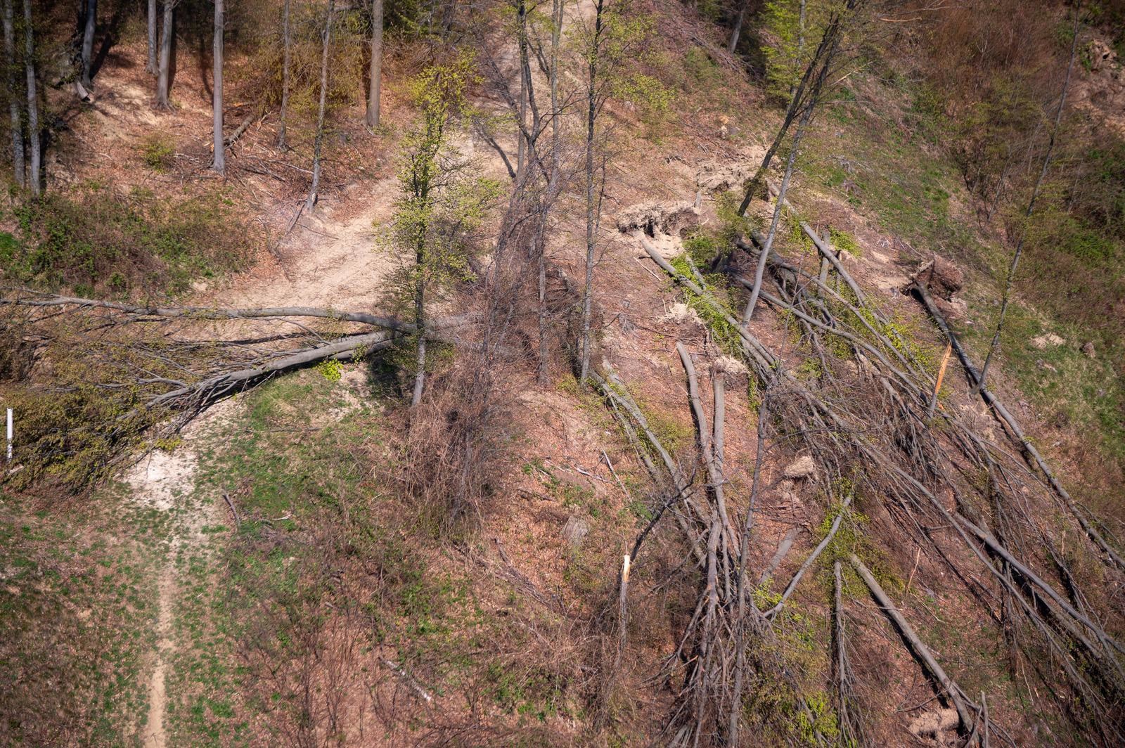 FOTO Sljeme dva tjedna nakon oluje: Šuma razorena, sanacija u tijeku