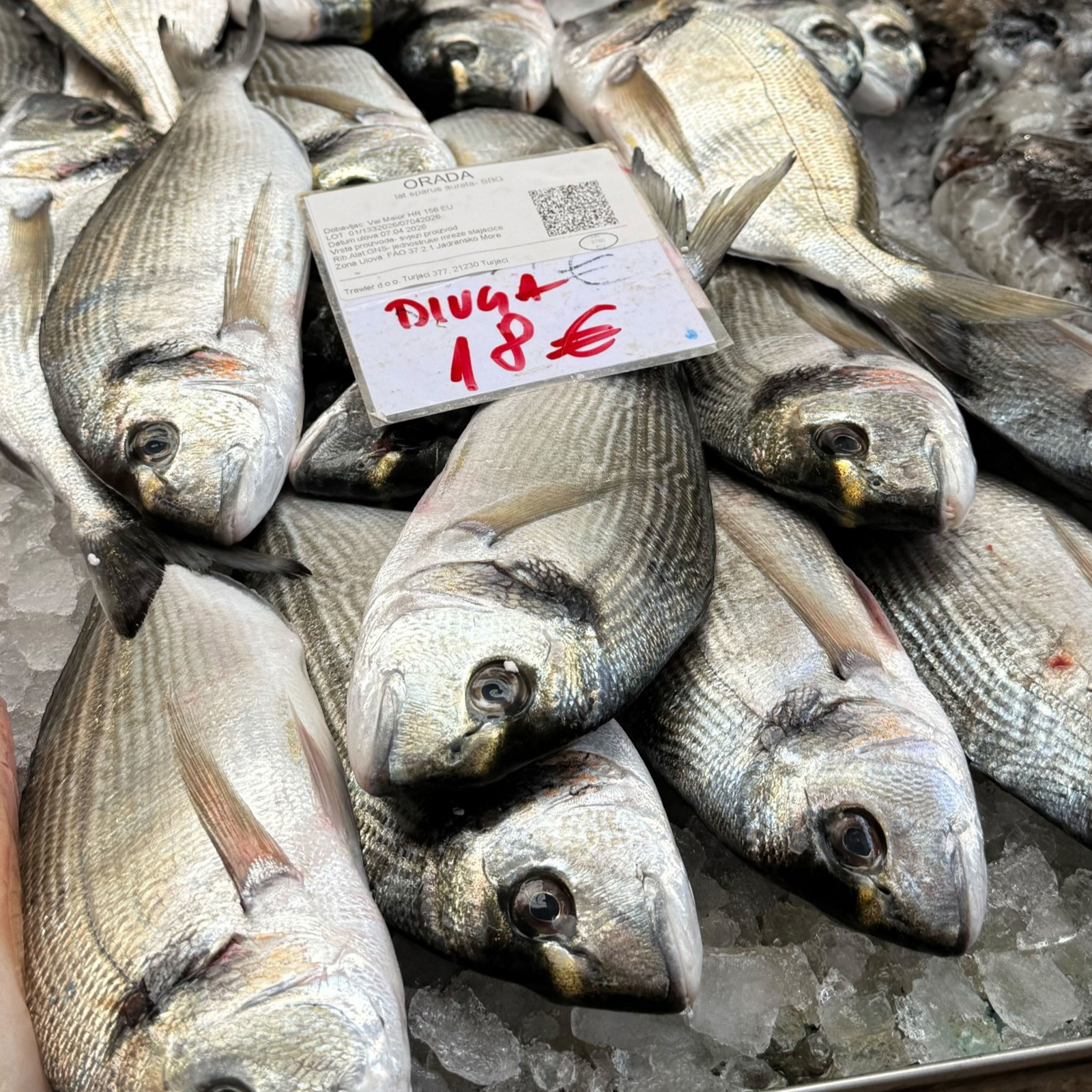 Zbog velikog rasta cijene plavog dizela skuplja je riba. Srdela 5, škampi do 50 eura