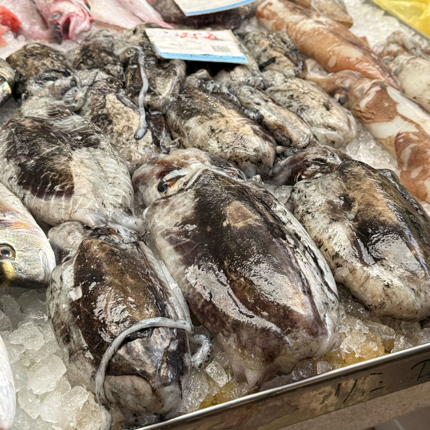 Zbog velikog rasta cijene plavog dizela skuplja je riba. Srdela 5, škampi do 50 eura