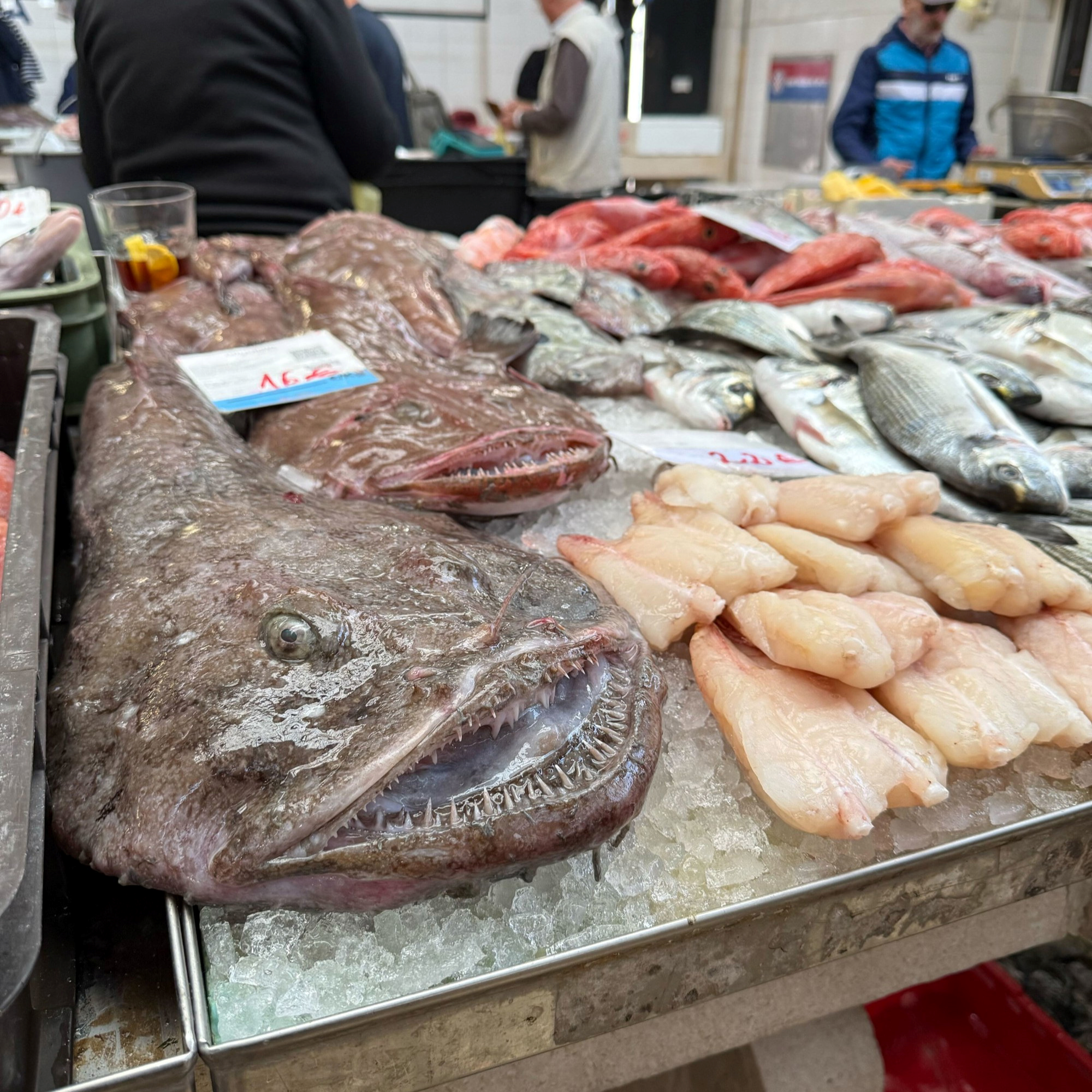 Zbog velikog rasta cijene plavog dizela skuplja je riba. Srdela 5, škampi do 50 eura