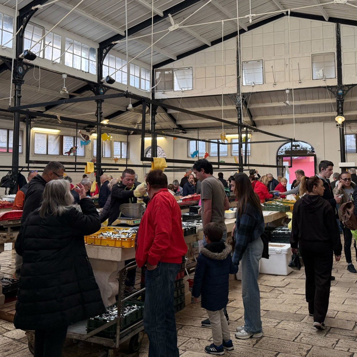 Zbog velikog rasta cijene plavog dizela skuplja je riba. Srdela 5, škampi do 50 eura