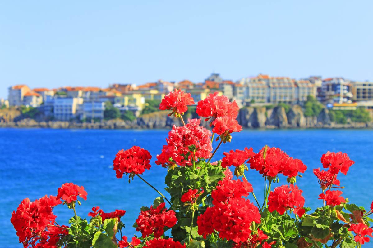 Turisti poludjeli za predivnim gradićem na Crnom moru. Pivo košta 2 eura, a obrok 10