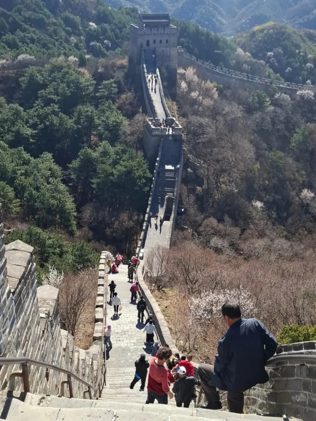 Mario Valentić o hrani u Pekingu: "Ima tu doista svega. Finog, ali i nejestivog"