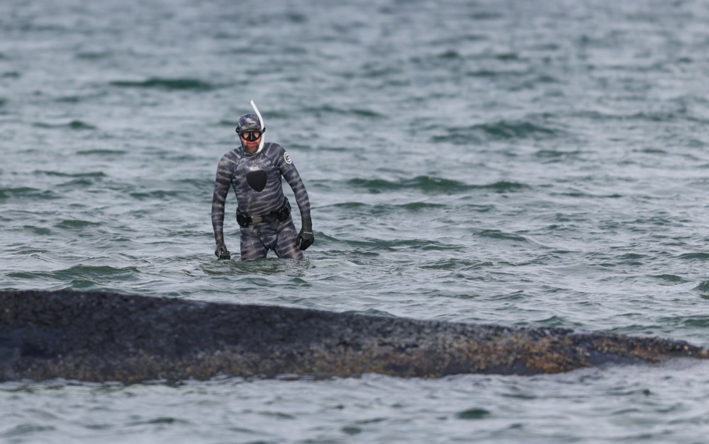 Grbavi kit nasukan u Baltiku ugiba u bolovima. "Ne možemo ga spasiti"