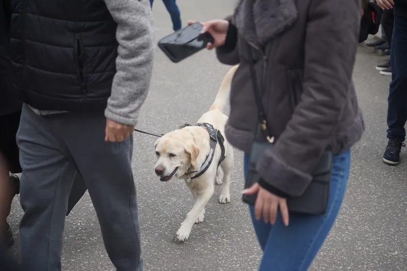 Duška Vujoševića ispratila njegova vjerna prijateljica, kujica Žuta